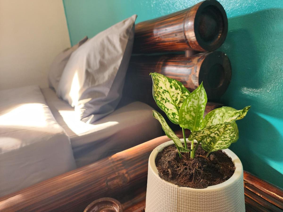 Blue Moon House - A Budget Hostel For Easy Travellers เชียงใหม่ ภายนอก รูปภาพ